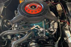 98195096_3702498286468980_6838082517896003584_o